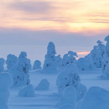 Basecamp Oulanka Сasa de vacaciones