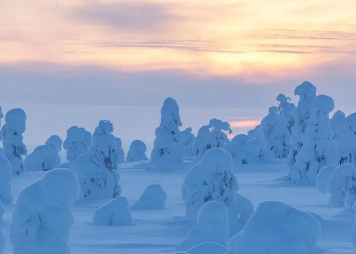 Basecamp Oulanka 度假居