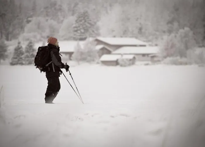 Basecamp Oulanka 度假居 *